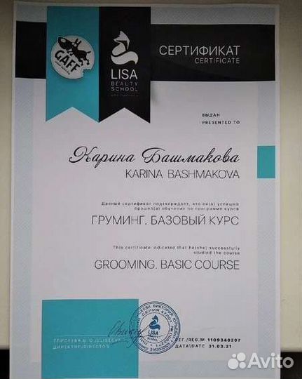 Грумер стрижка собак с выездом на дом