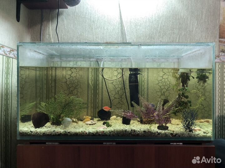 Аквариум с рыбками