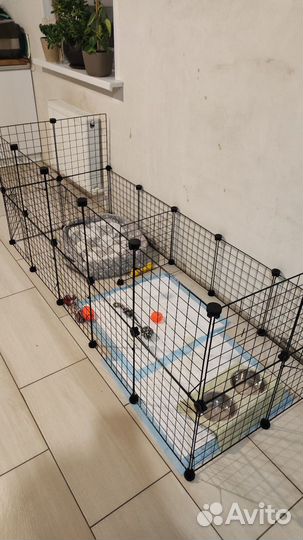 Домашний вольер