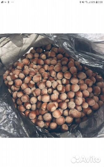 Орех фундук