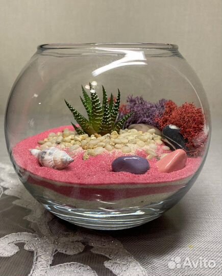Флорариум суккуленты,живые цветы