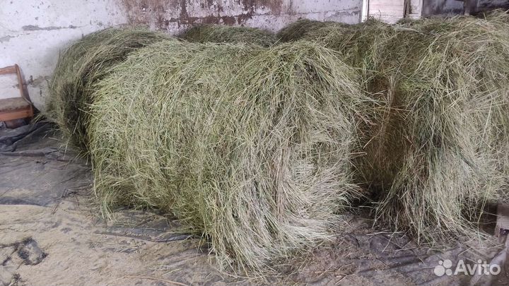 Солома и сено в мешках и рулонах