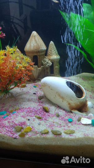 Аквариум