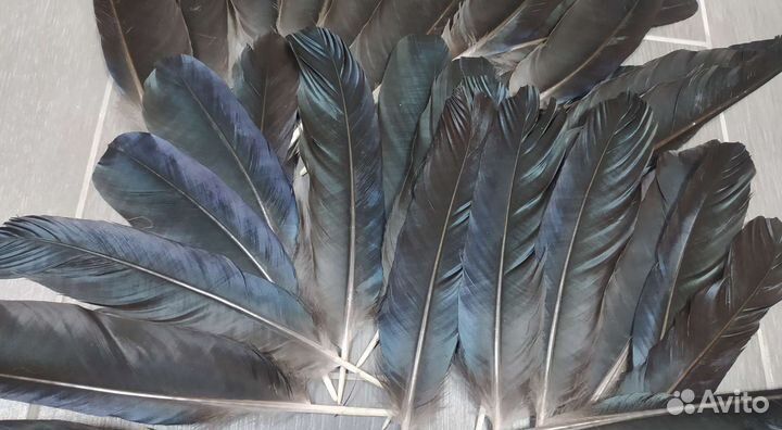 Перо птицы,наборы для рукоделия и творчества