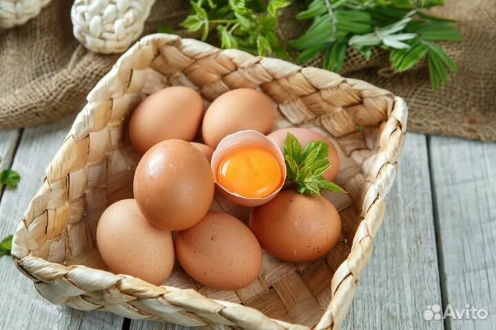 Домашние куриные яйца