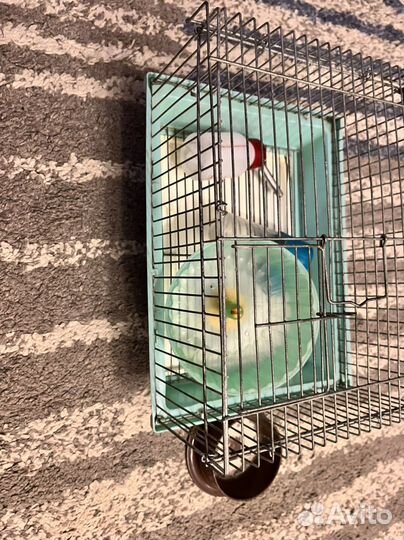 Клетка для хомяка