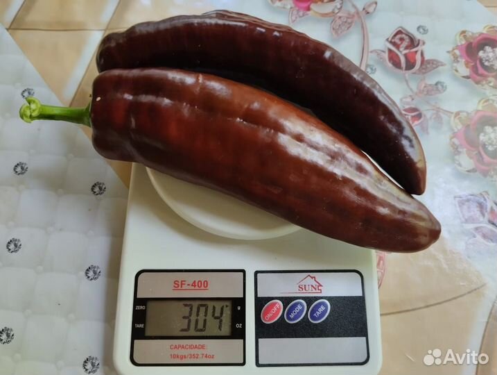 Семена сладкого перца