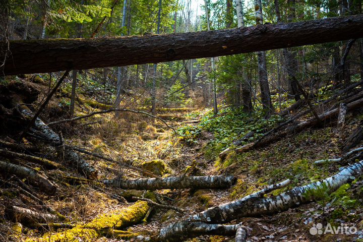 Поход на архейский скальник