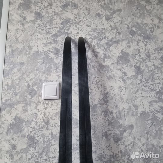 Беговые лыжи