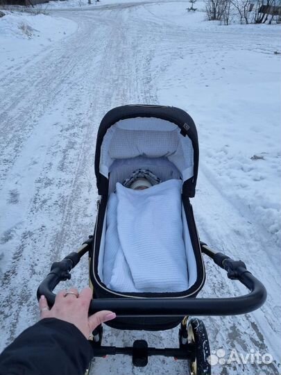 Коляска adamex 3 в 1