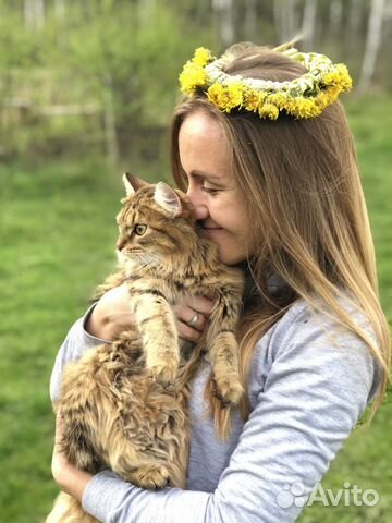 Зооняня в домашних условиях