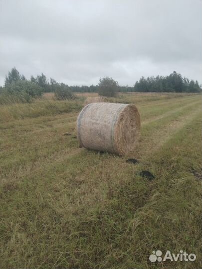 Сено в рулонах