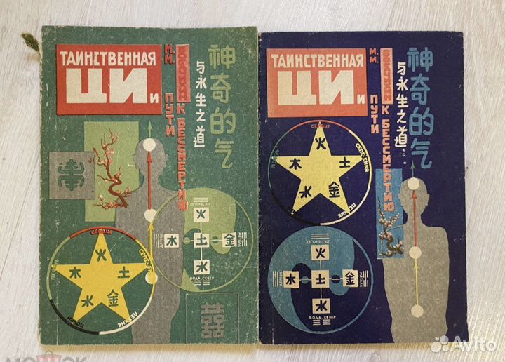 Богачихин М.М. Таинственная Ци