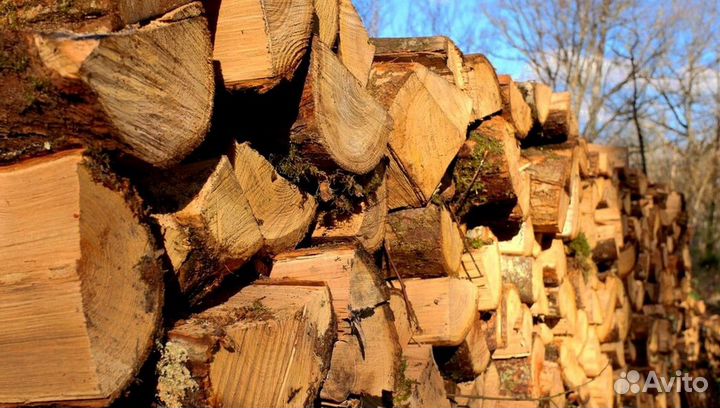 Дрова без зелени