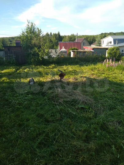 Дача 20 м² на участке 5,2 сот.