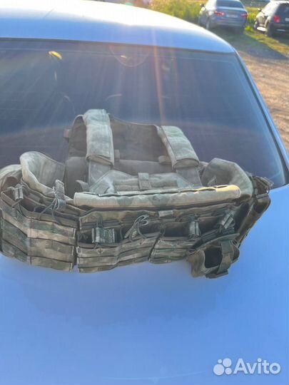 Плитник ссо