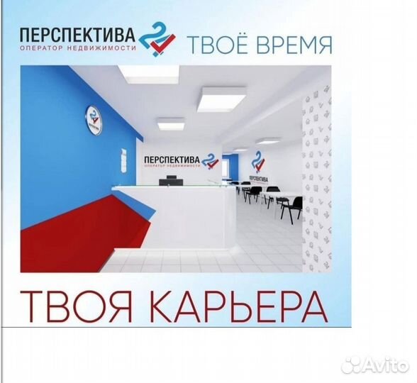 Начинающий специалист (риелтор)