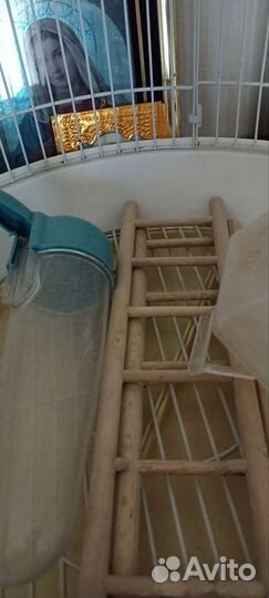 Клетка для волнистого попугая