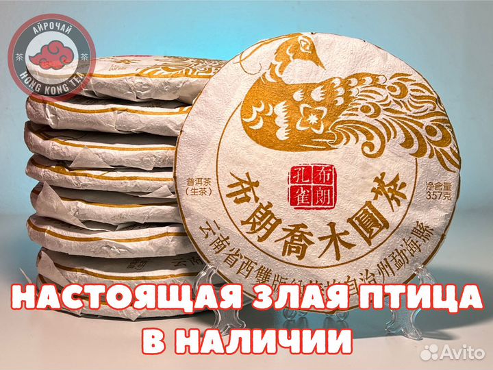 Чай, Шэн Пуэр, 