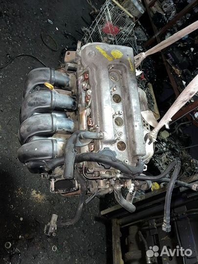 Двигатель 1ZZ-FE Toyota Corolla ZZE120 1zzfe-10026