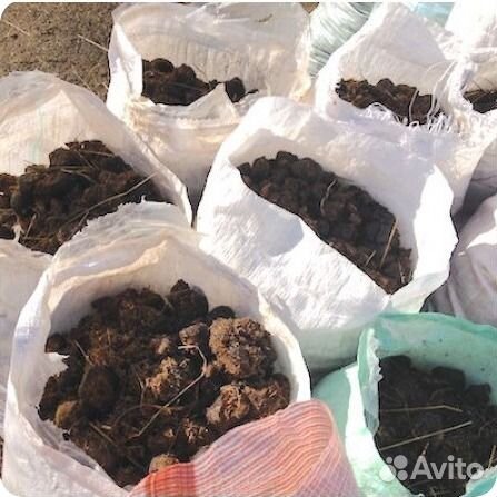 Конский навоз