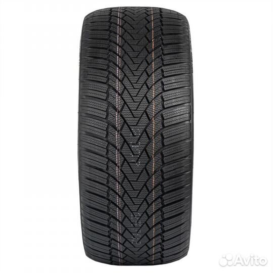 Arivo Winmaster ProX ARW3 175/65 R14 82T