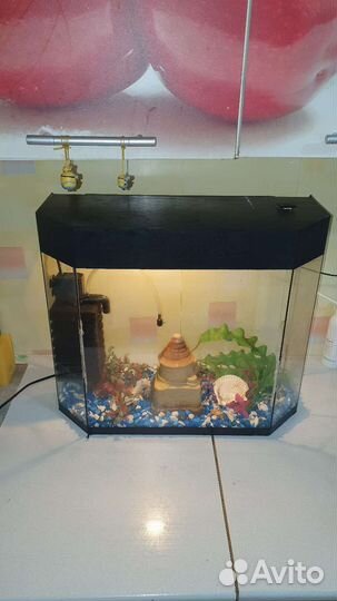 Аквариум