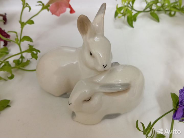 Заяц Артель Прогресс