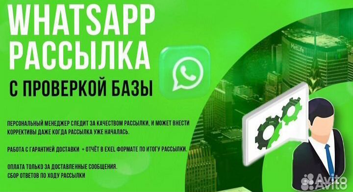 Whatsapp рассылка