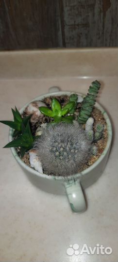 Цветочная композиция новогодняя