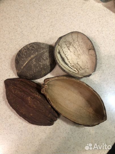 Оболочка от плодов какао и кокоса