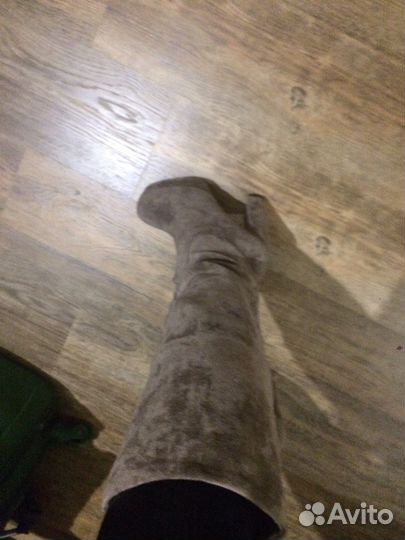 Сапоги демисезонные