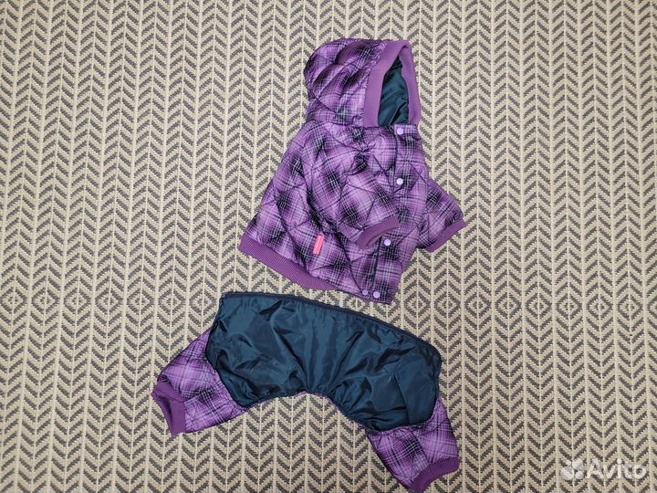 Одежда для маленькой собачки (комбинезон)