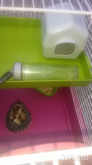 Клетка для грызунов