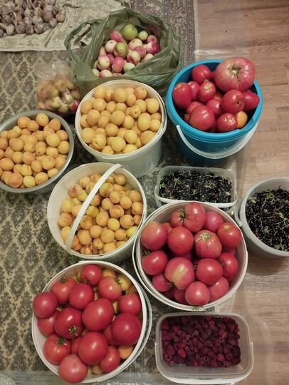 Дача 27 м² на участке 7,1 сот.