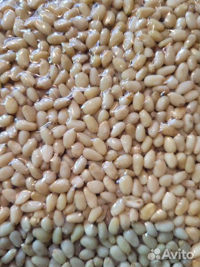 Кедровый орех очищенный