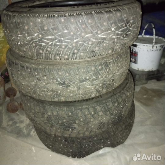 Triangle IcelynX TI501 175/65 R15