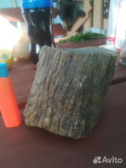 Бивень рог окаменелость