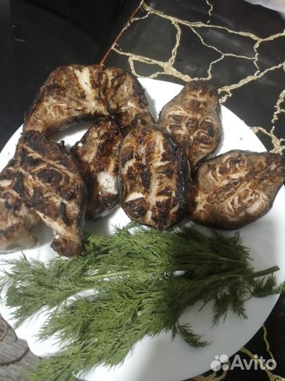 Африканский мраморный сом