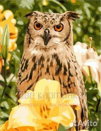 Картина по номерам 40x50 GX41729