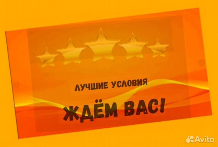 Наборщик заказов Без опыта Еженедельные выплаты