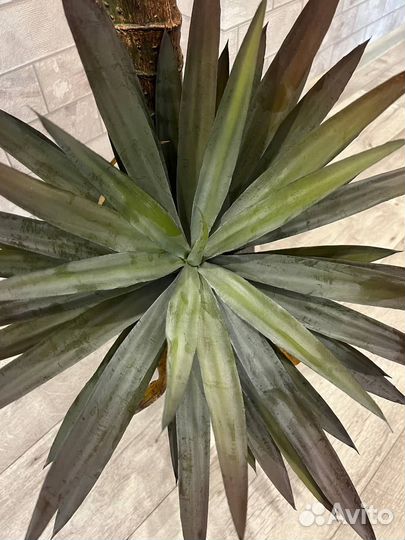 Искусственное дерево Агава