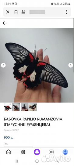 Ферма-бабочек