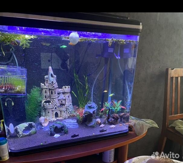 Аквариум Electrical