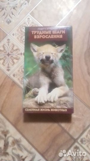 Кассеты. Семейная жизнь животных