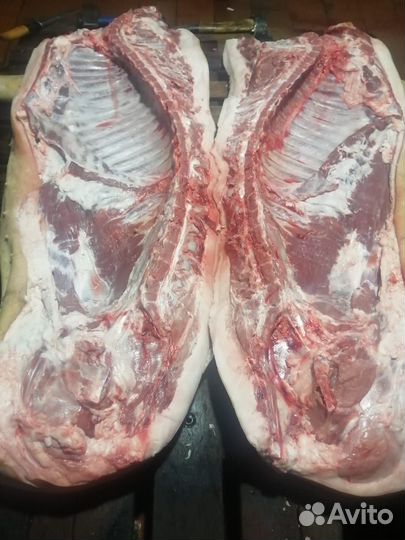 Мясо свинина домашняя