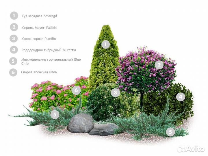 Модный цветник