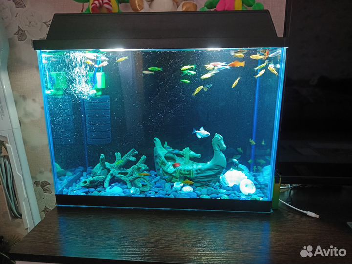 Аквариум 50л