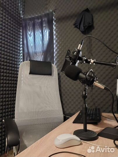 Озвучка, запись дикторского голоса, пародии