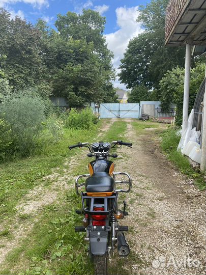 Альфа рейсер